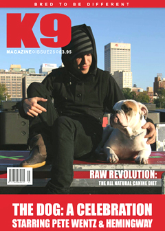 issue25_cover